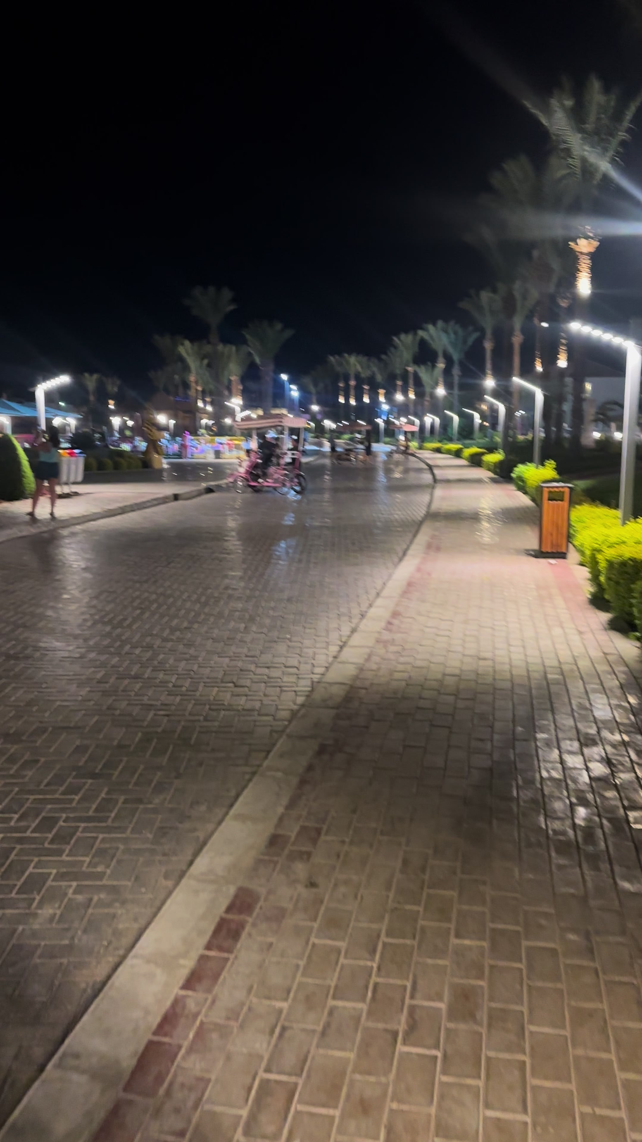 @امين جنزور
