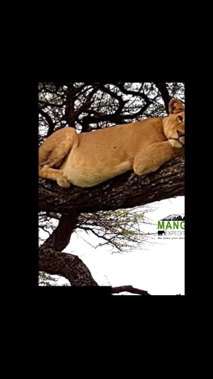 @Mangalo Expeditions