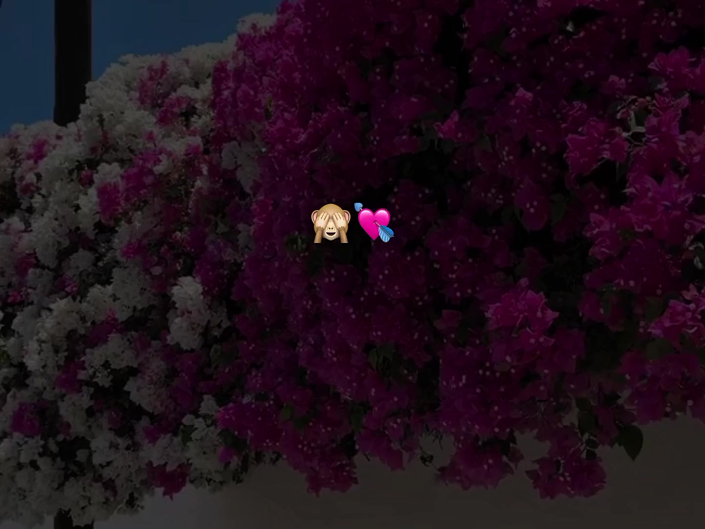 @★𝕳𝖊𝖓𝖗𝖗𝖞_𝖒𝖚𝖘𝖎𝖈★