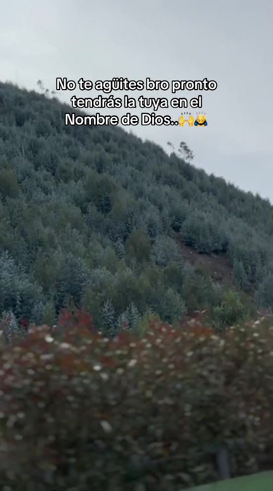@Alfredo_Ns200