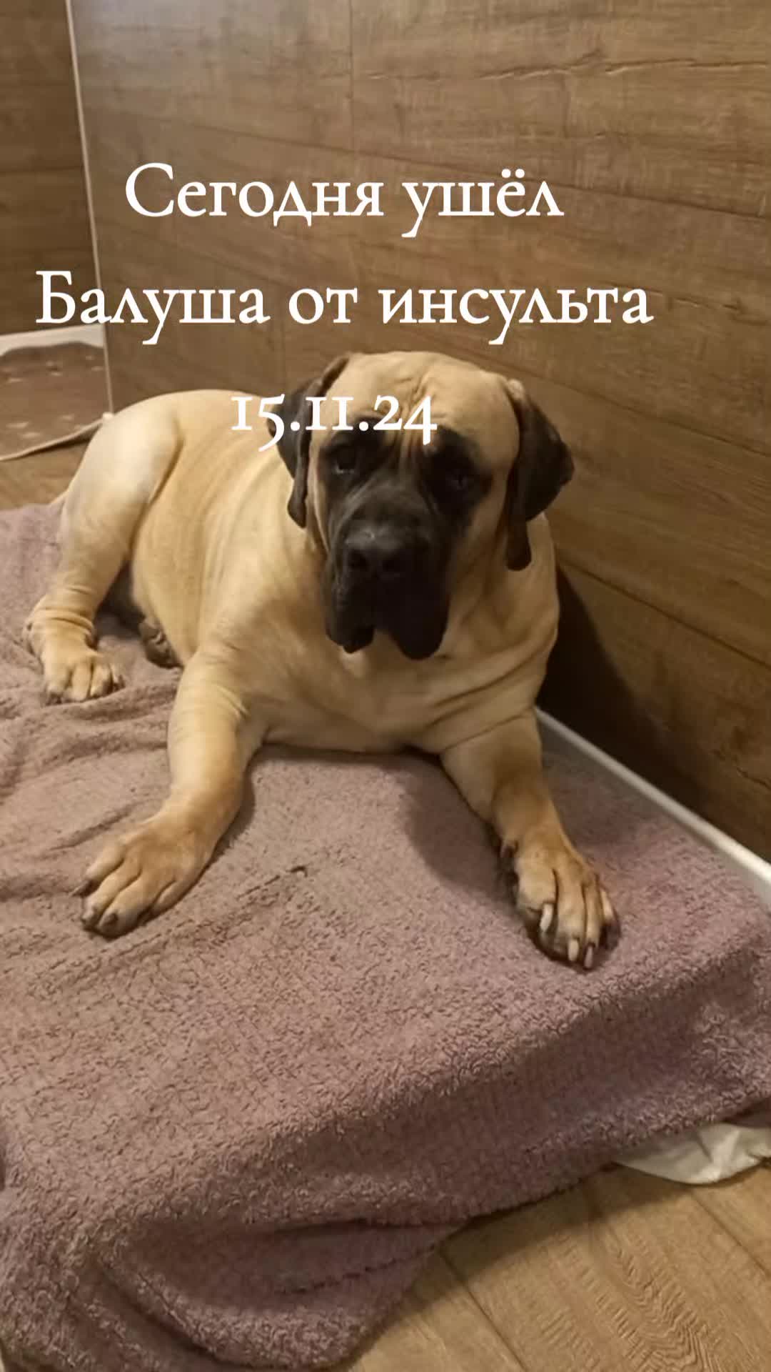 @Владимир