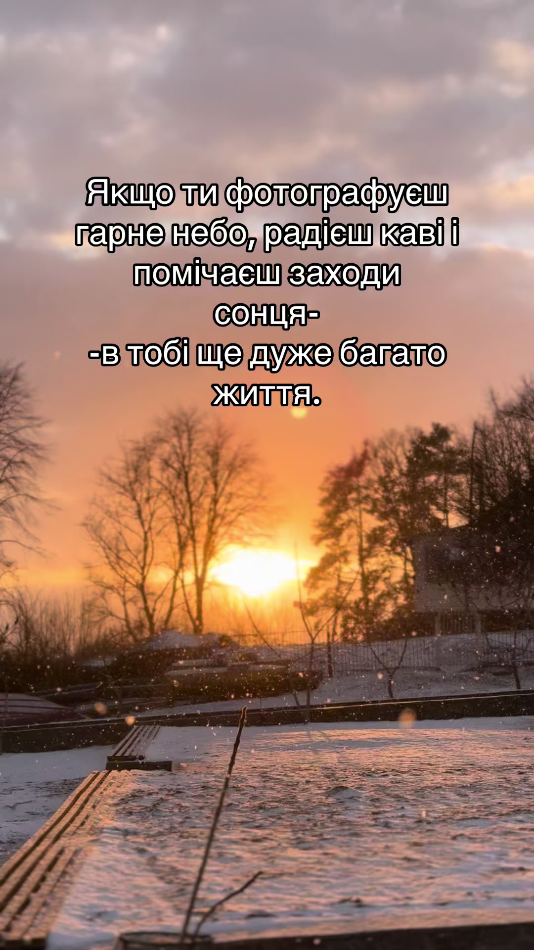 @Вікторія Оліскевич
