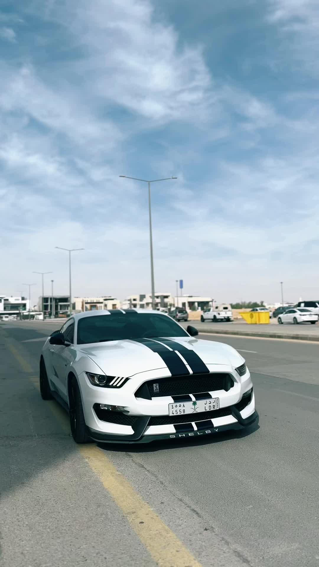 @F150-GT350