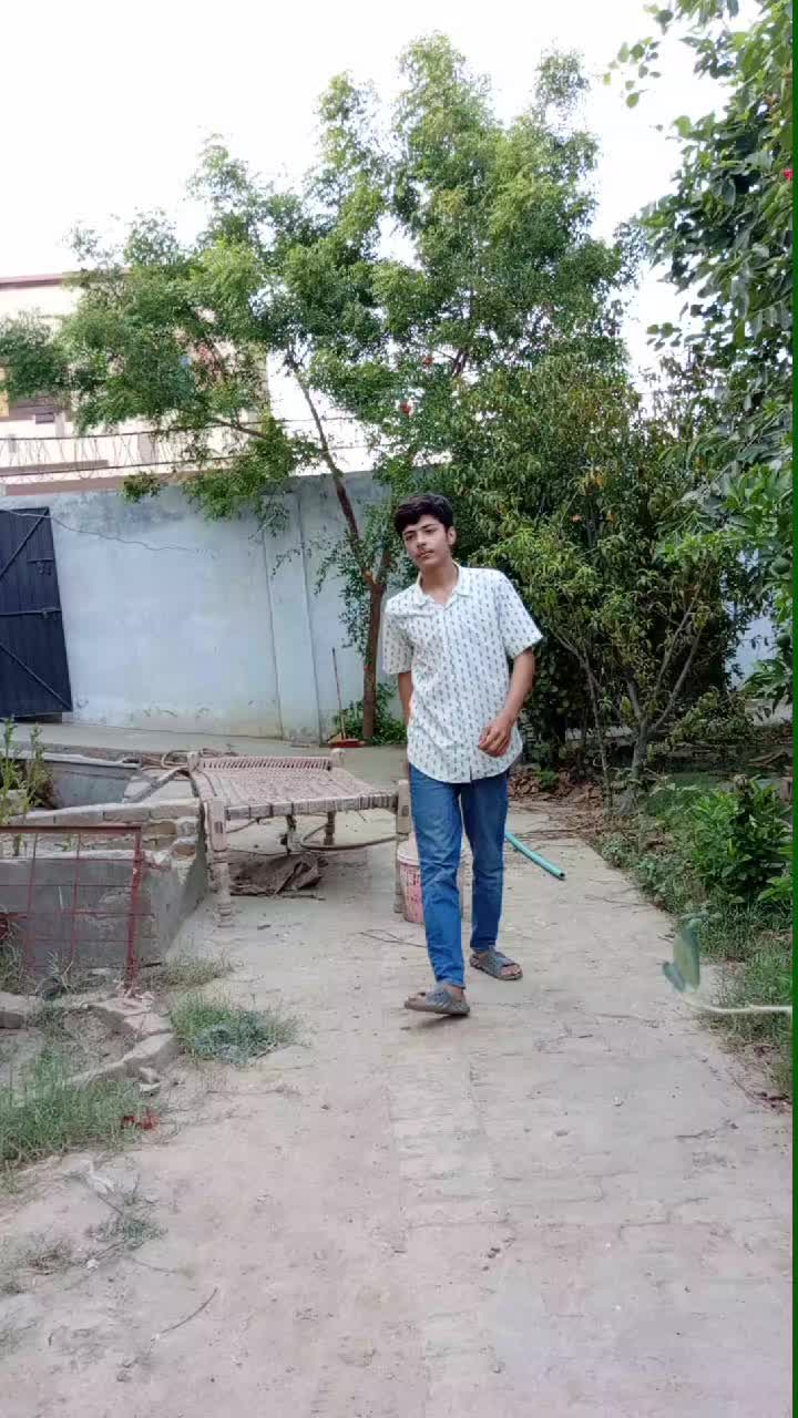 @Ghazan Mangol