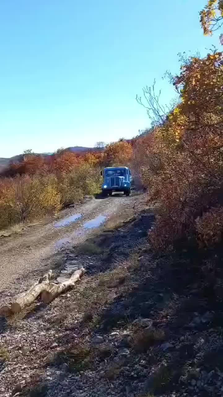 @sumska mafija