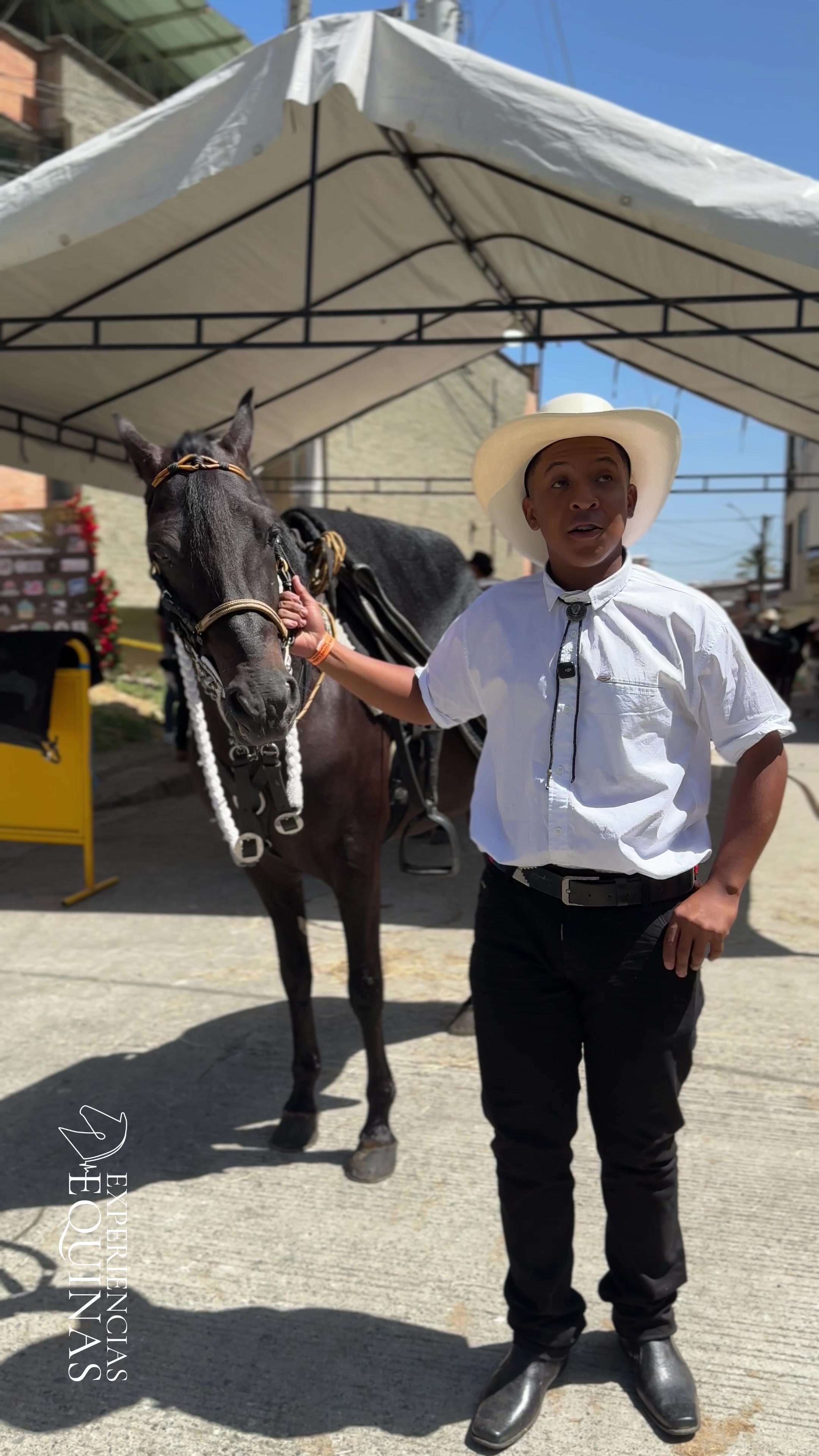 @Experiencias Equinas