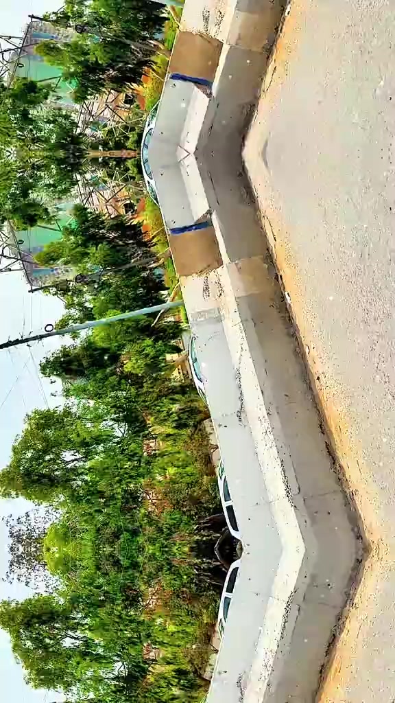 @شاہ جی