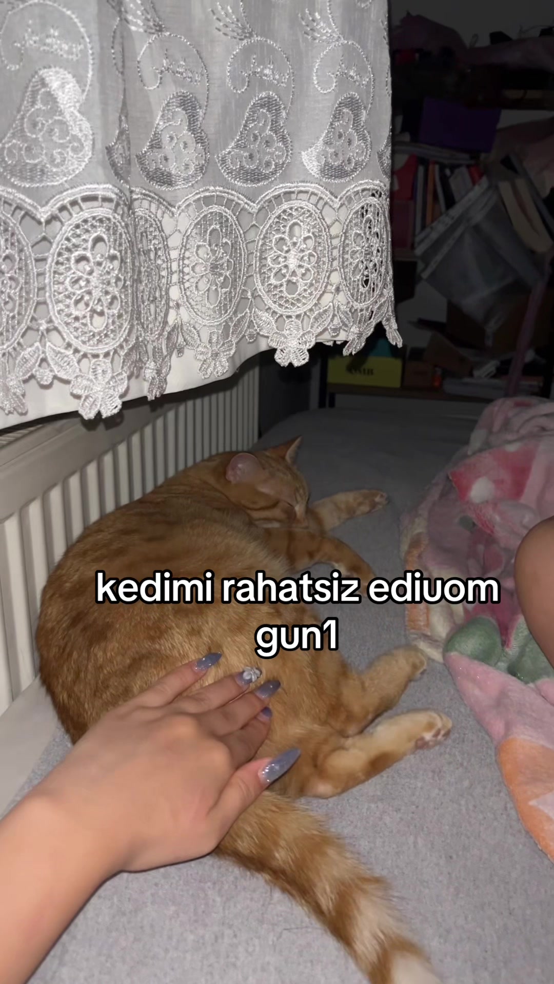 @✨slayistan cumhurbaskani✨