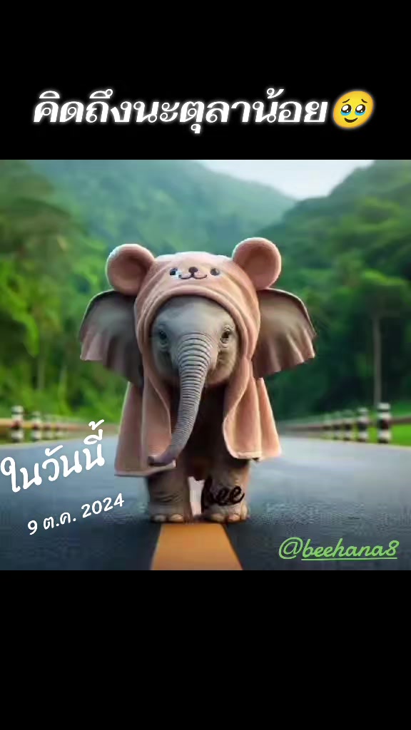 @beehana(บี)🐘🐘🐘💖