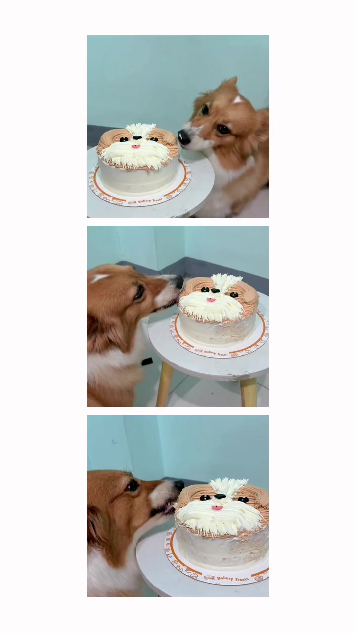 @NN 🎀