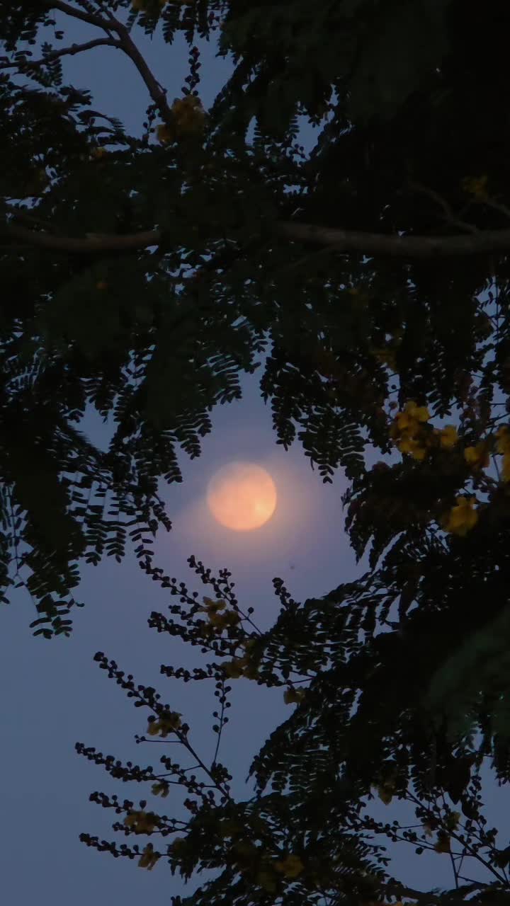 @Mooveanthan