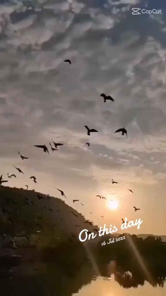 @𝓐𝓲𝓷𝓲𝓮🕊️