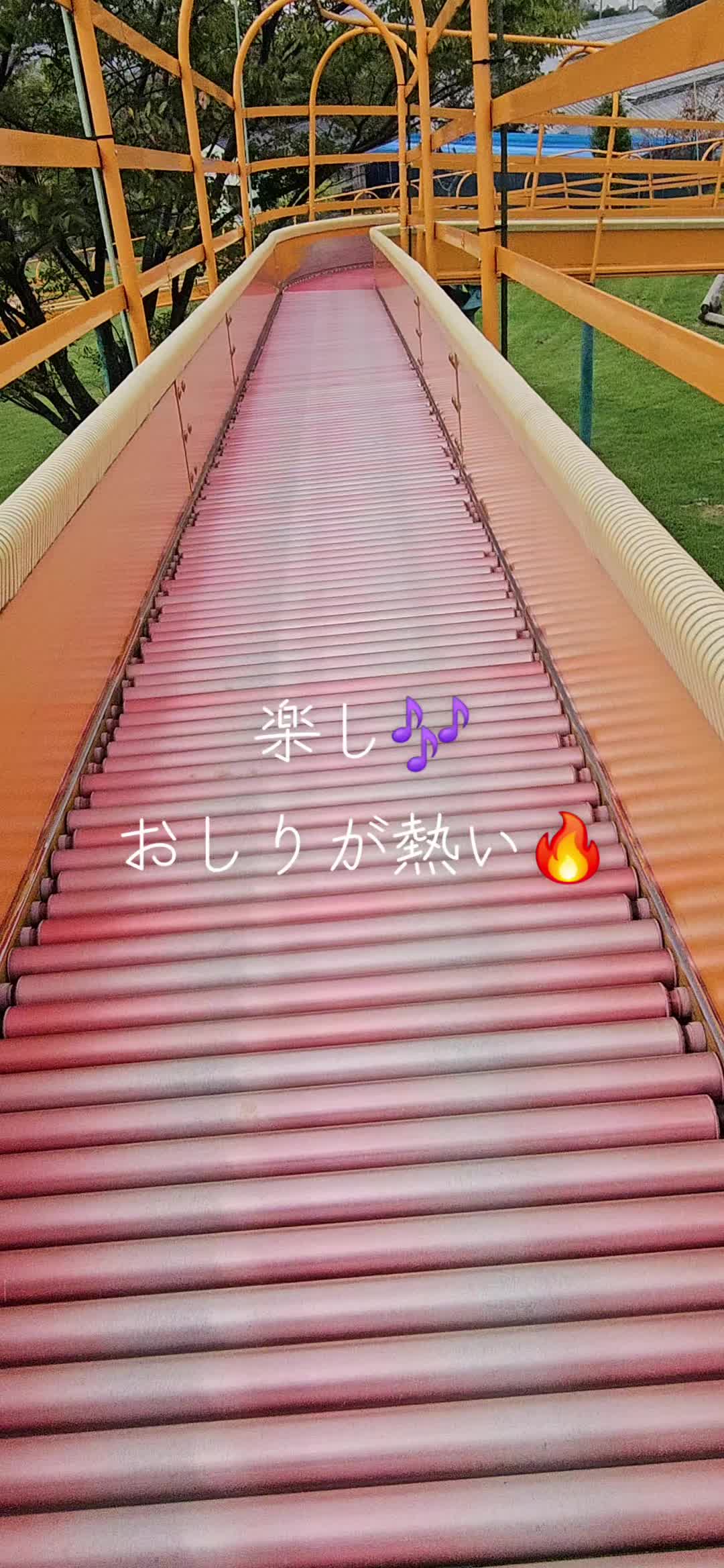 @🍵海苔茶漬け nori_chazuke