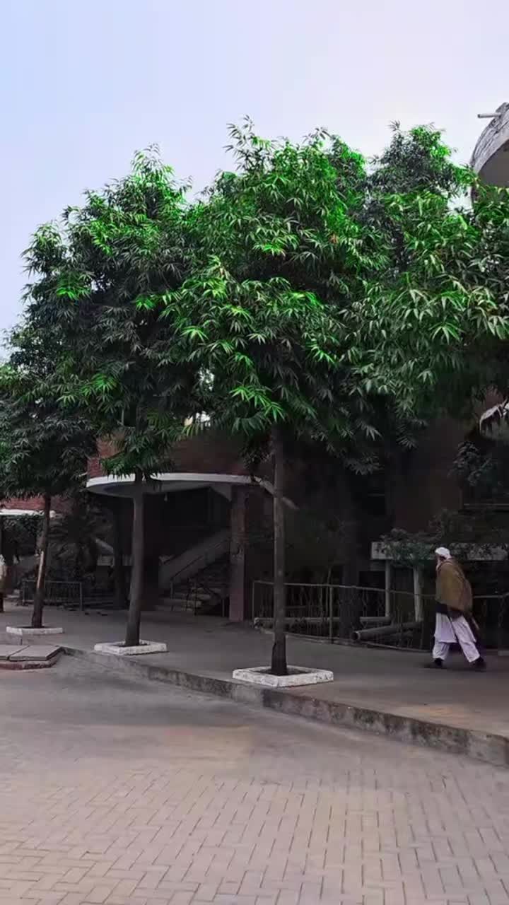 @Nasir Salman