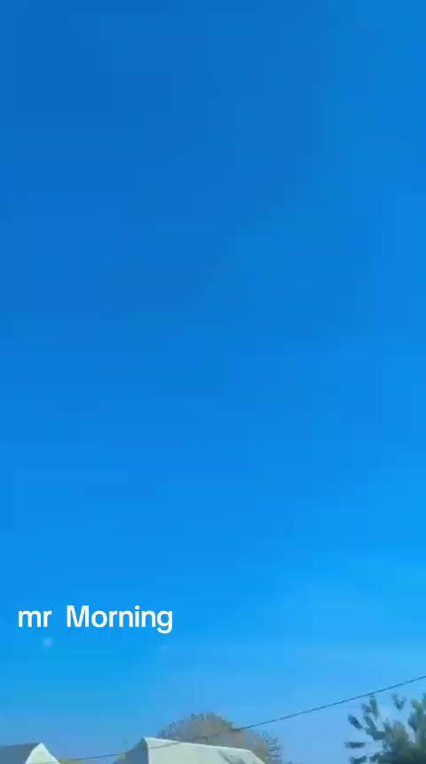 @musa...musa zxxxzxx