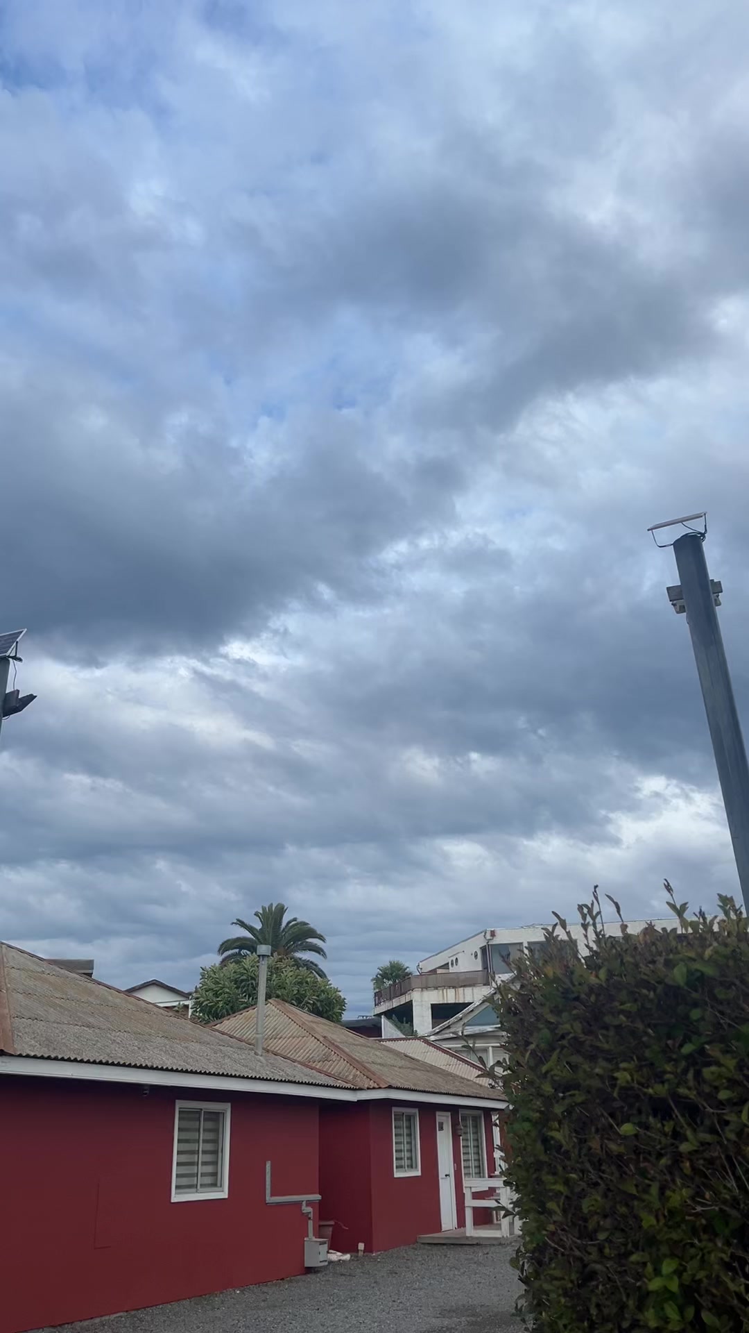 @Kisbe Andrade🤩