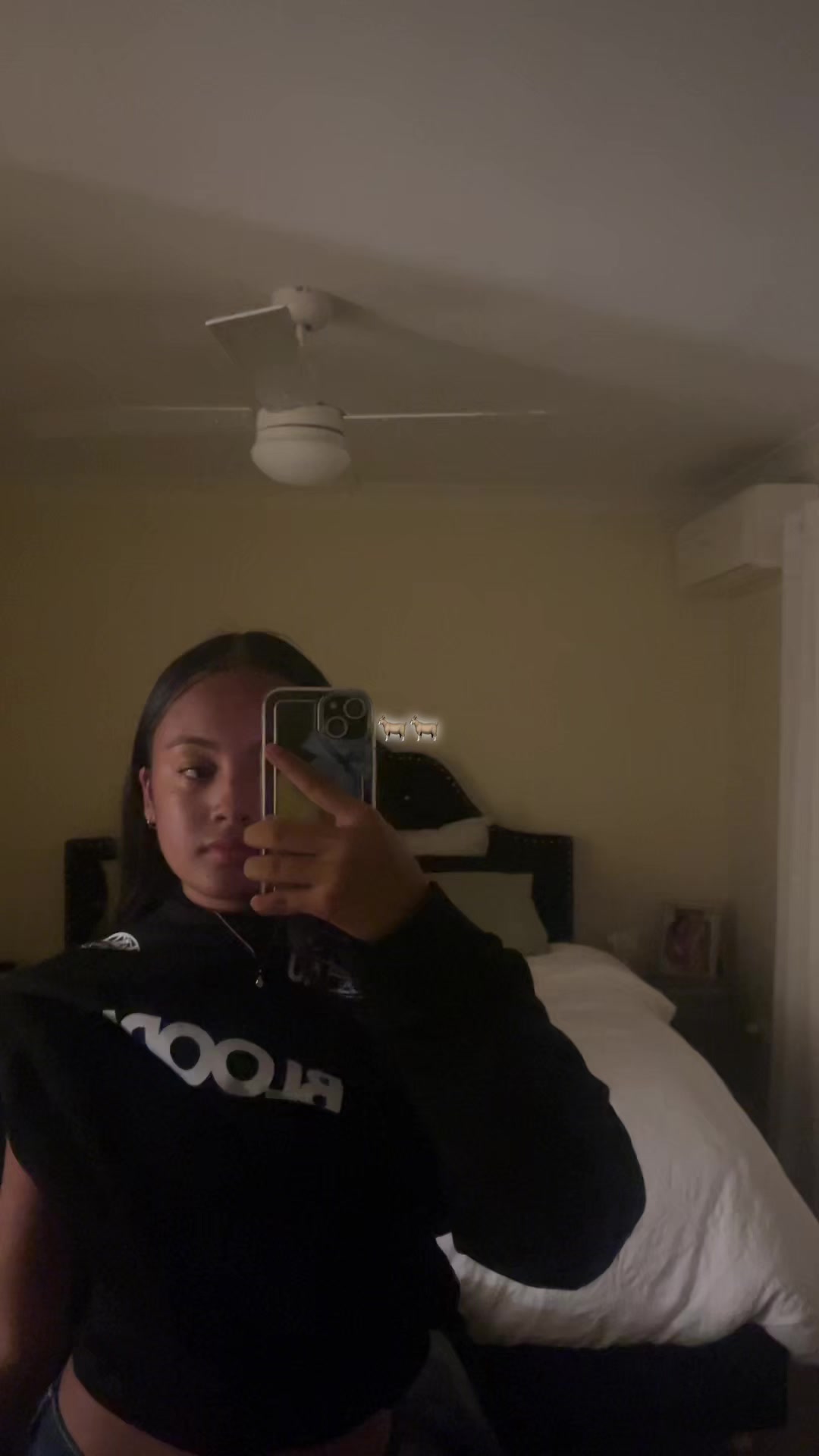 @isla.ripley