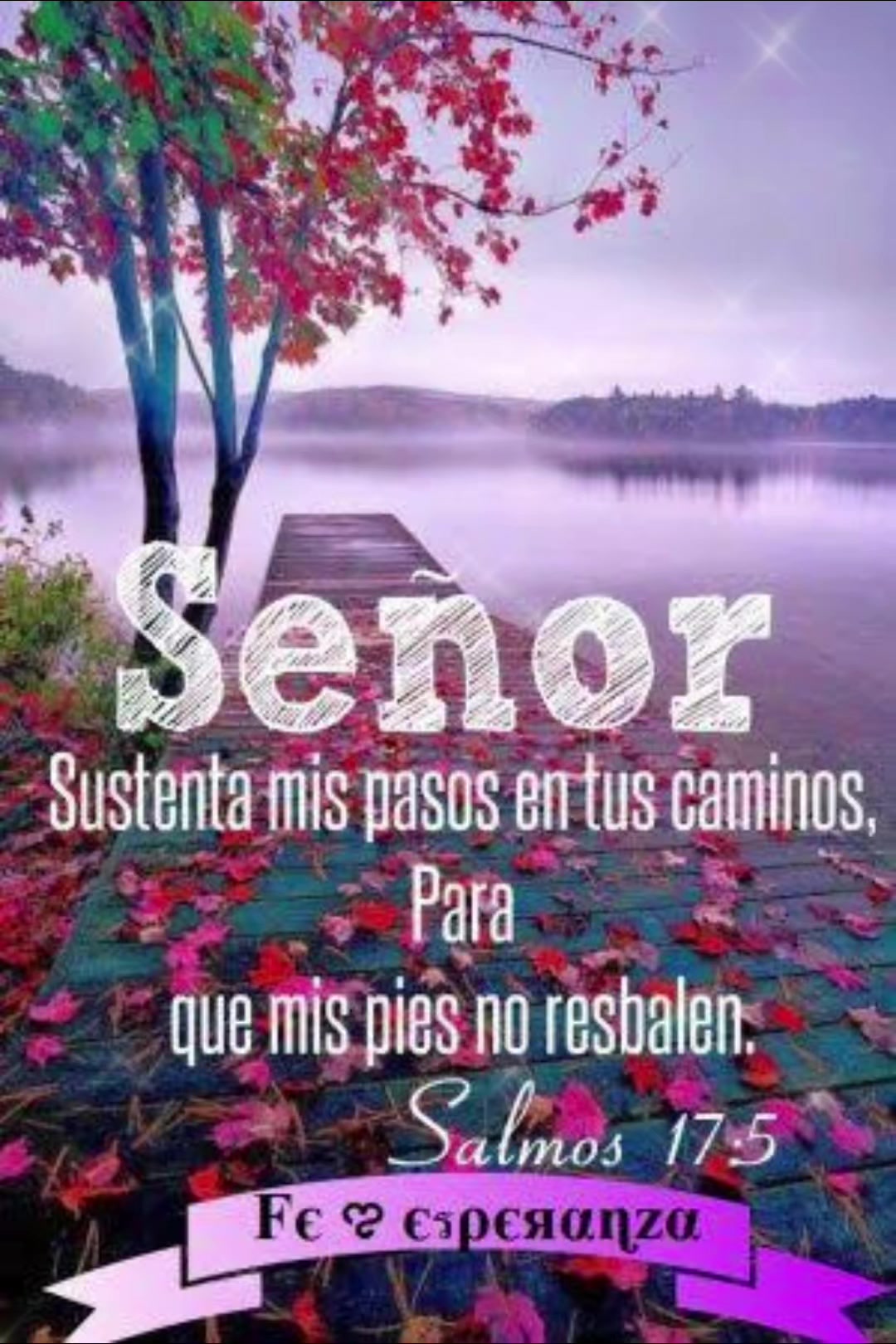 @amparo