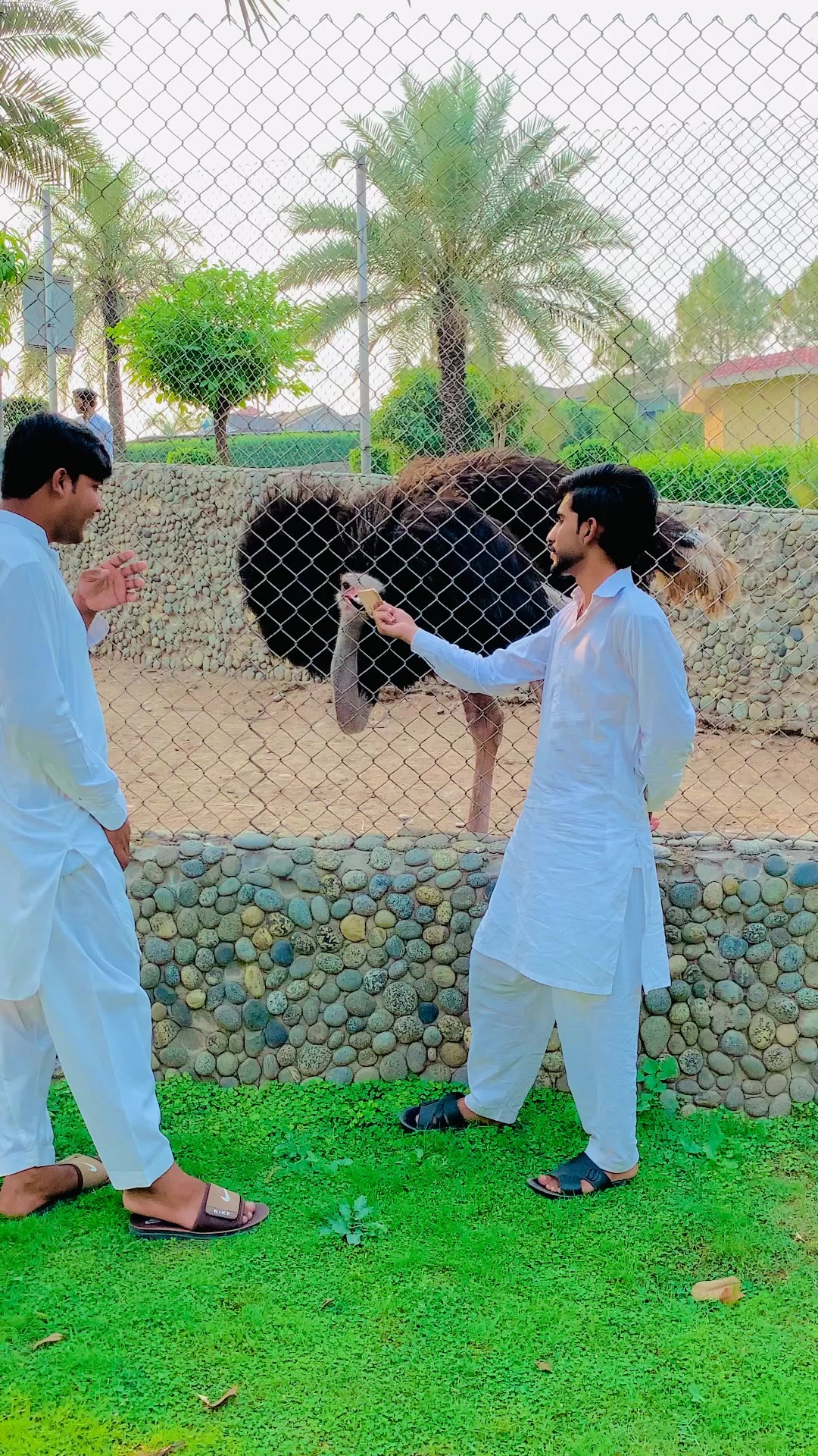 @😈استاد علی مانگوال آلہ 😈