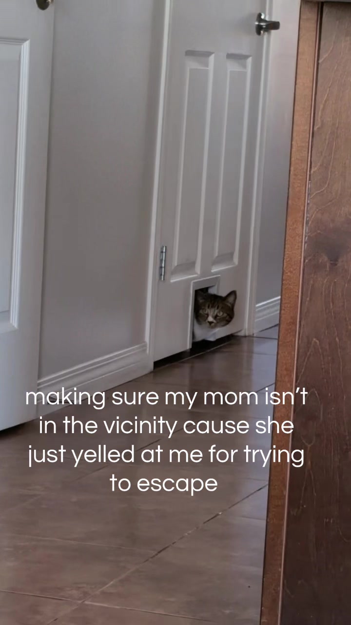 @Bmichaud