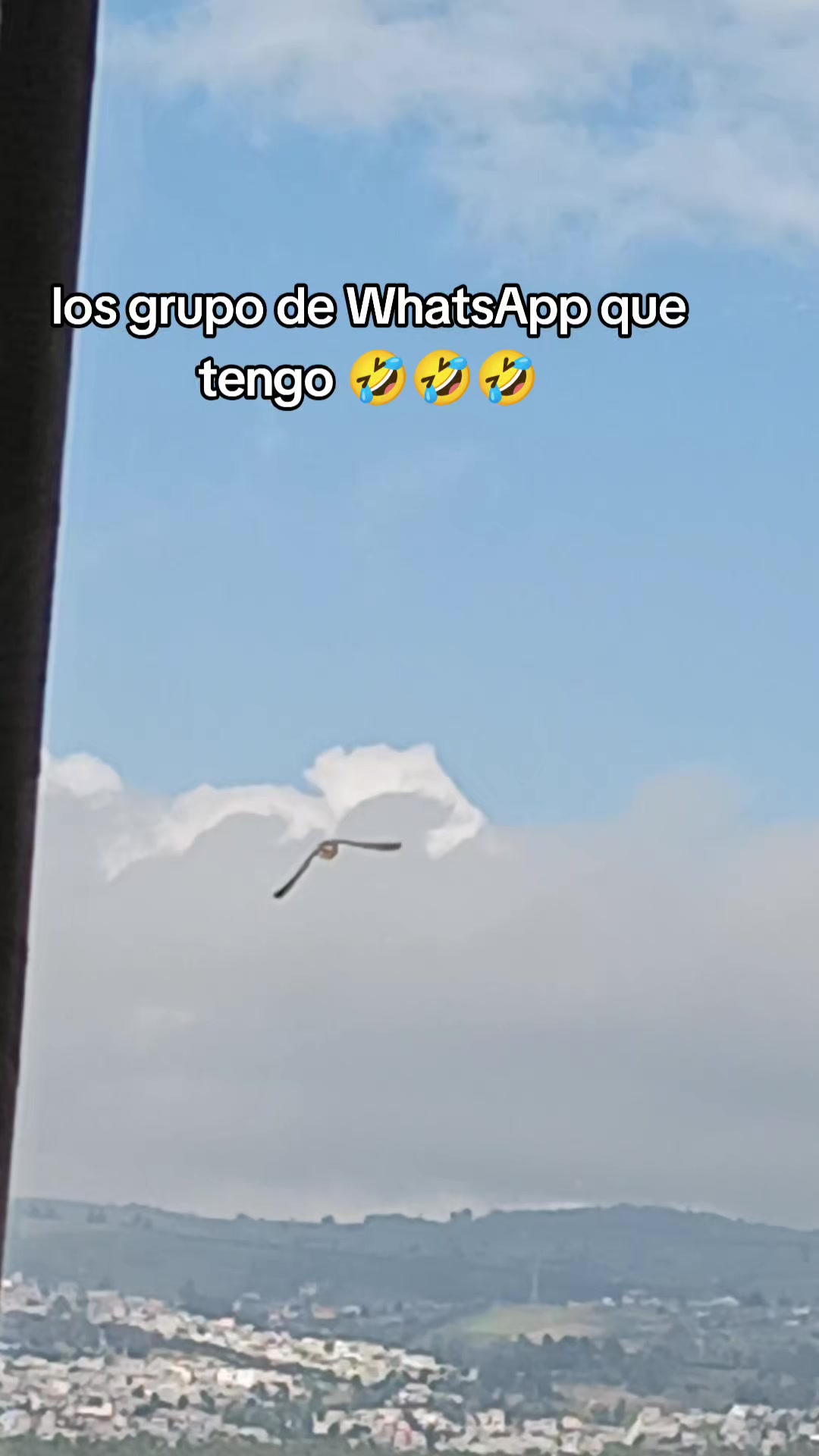 @luis_mtb98