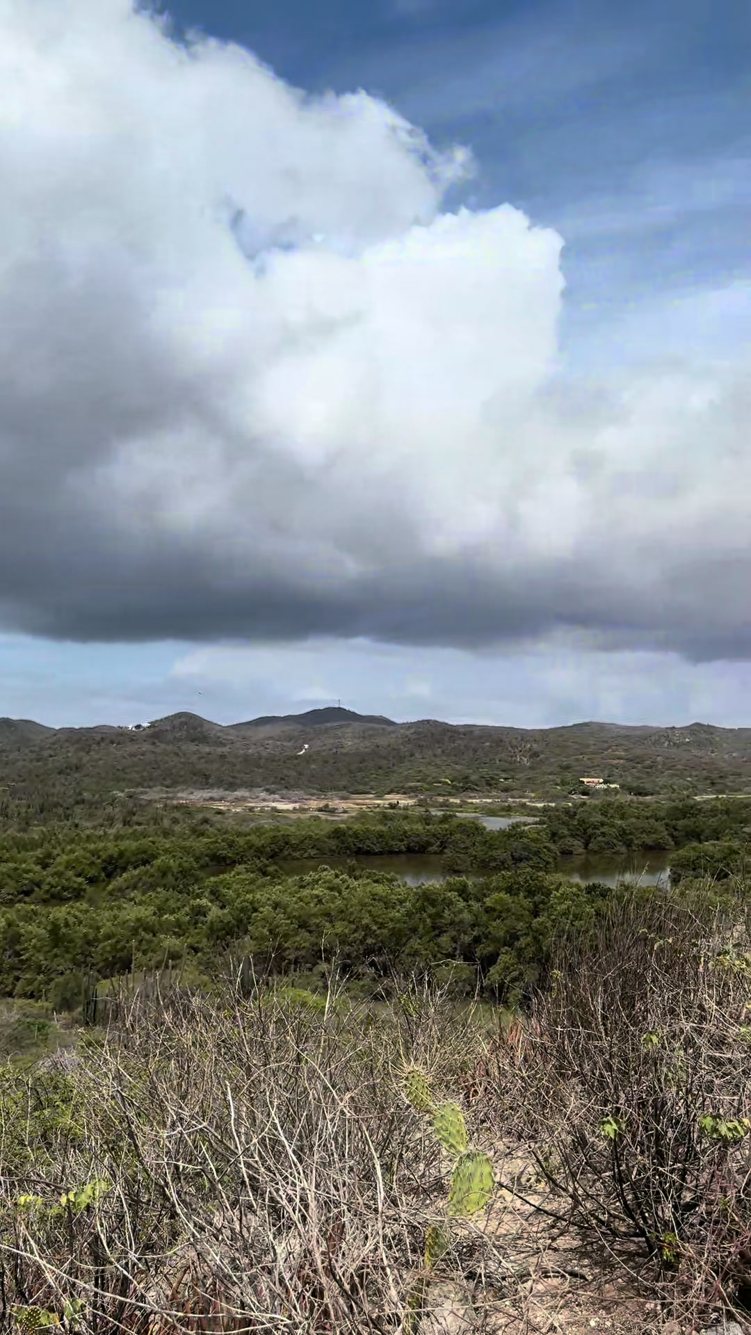 @Aruba random hikes
