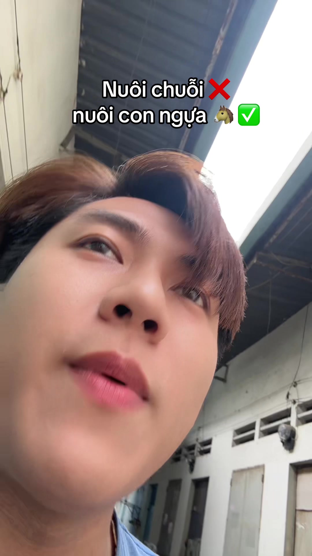 @Bảo Tê Liệt