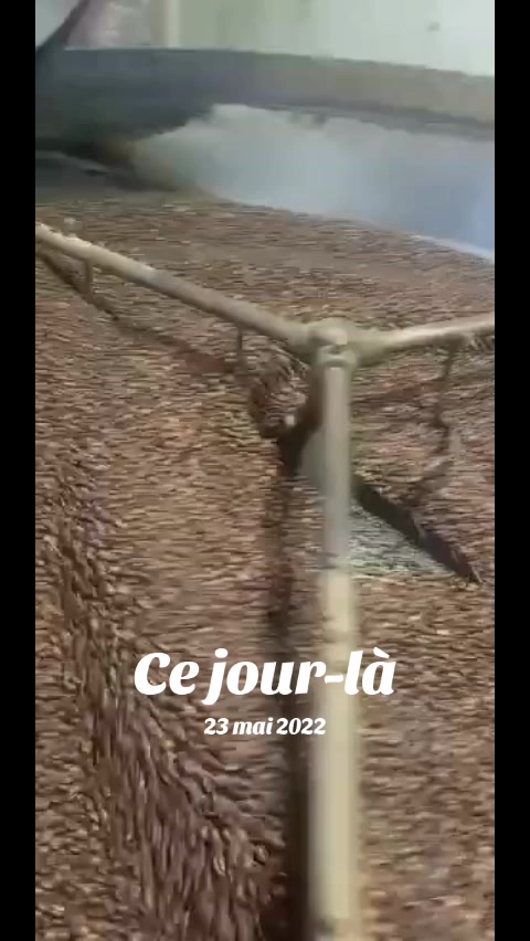 @heni Mehdoini
