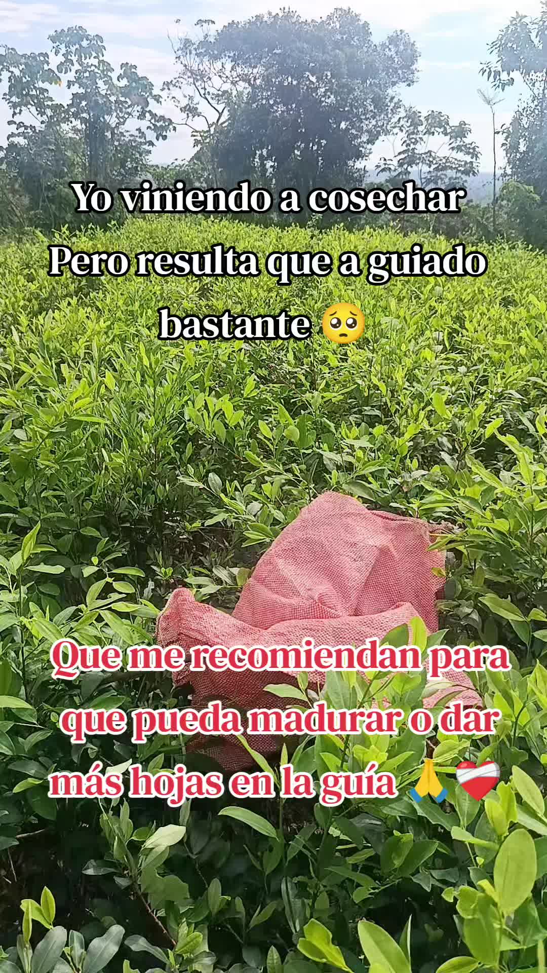 @POETA _JG❤️🩹
