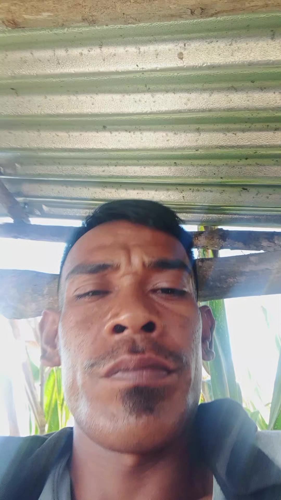@🐄gembala sapi🐄