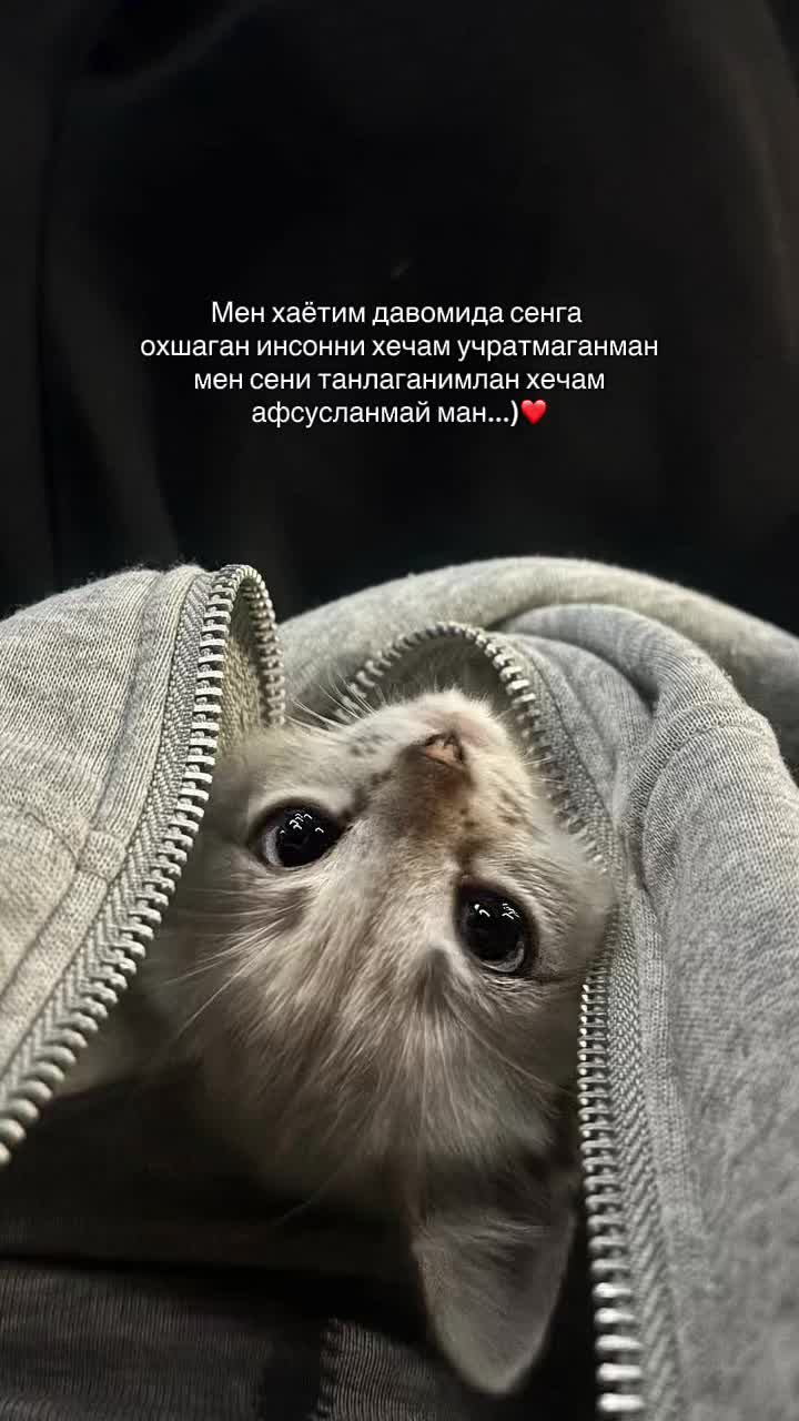@ибожон🧢