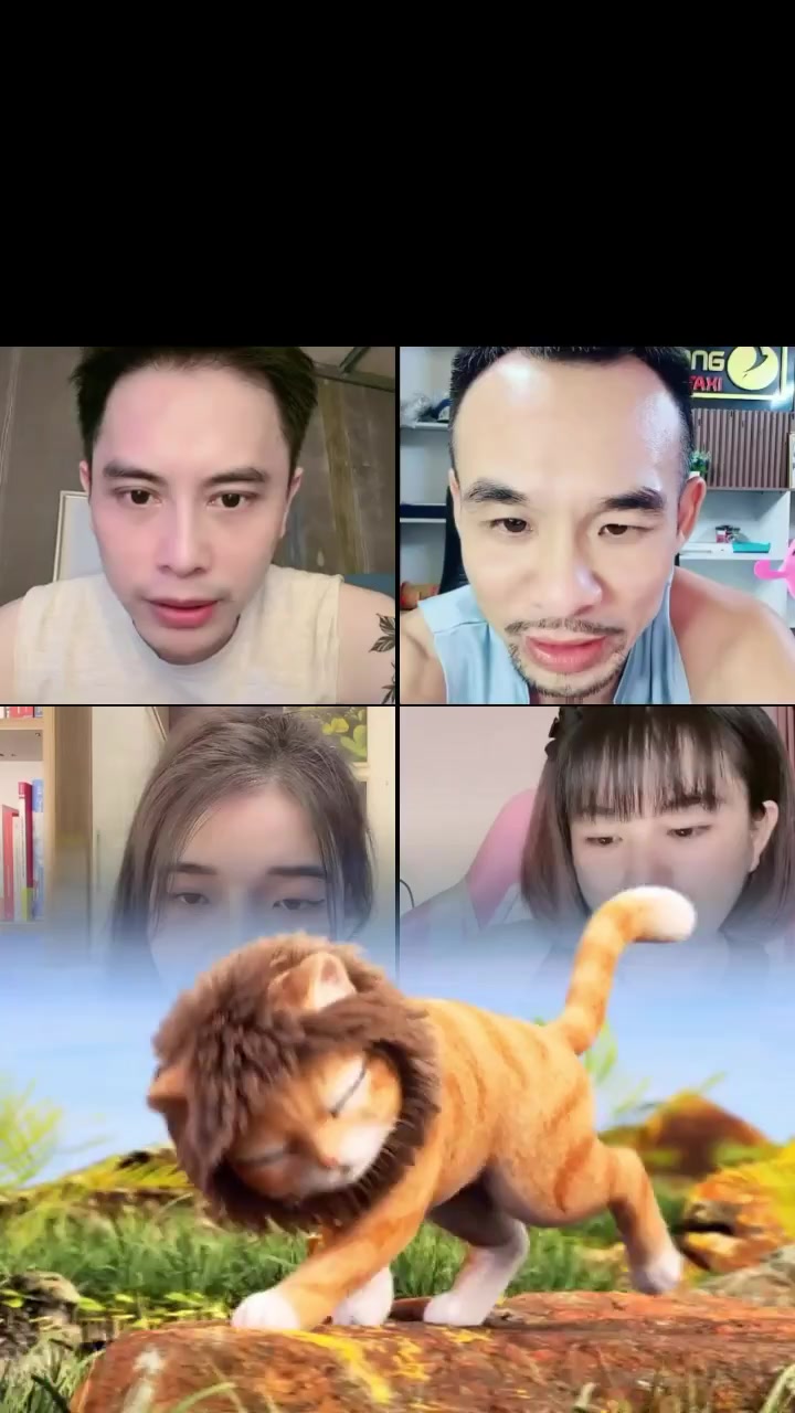@H&ugrave;ngChip