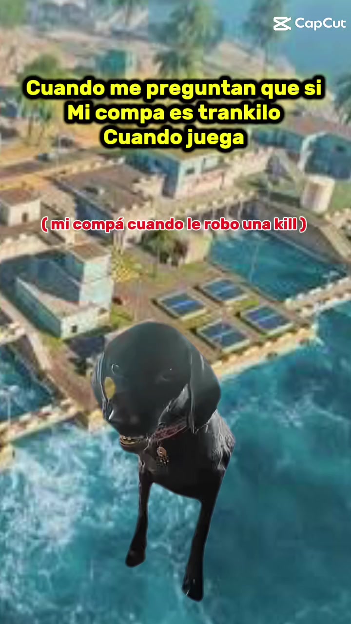 @REY black