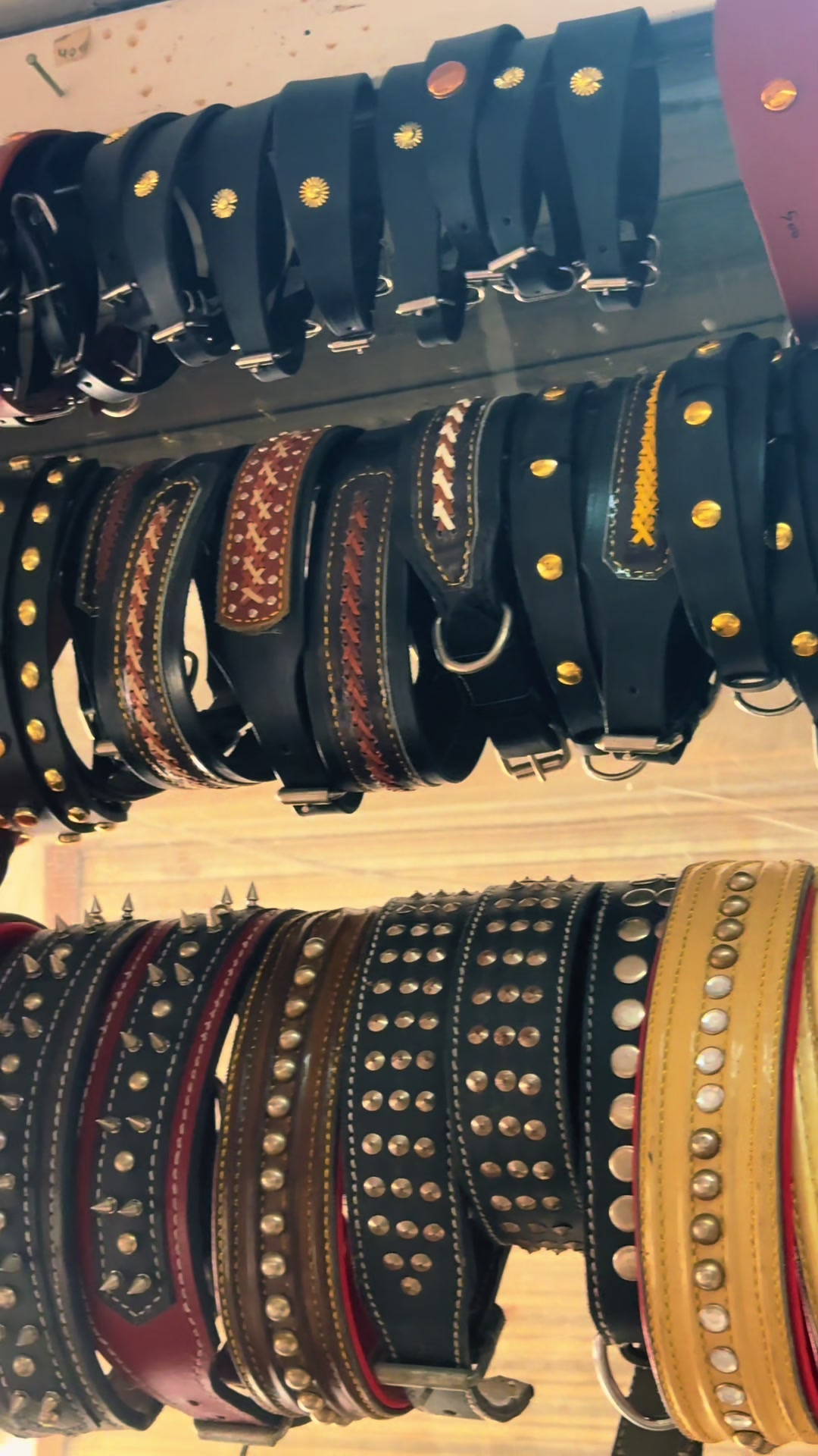 @Punjab Pet Store Chakwal