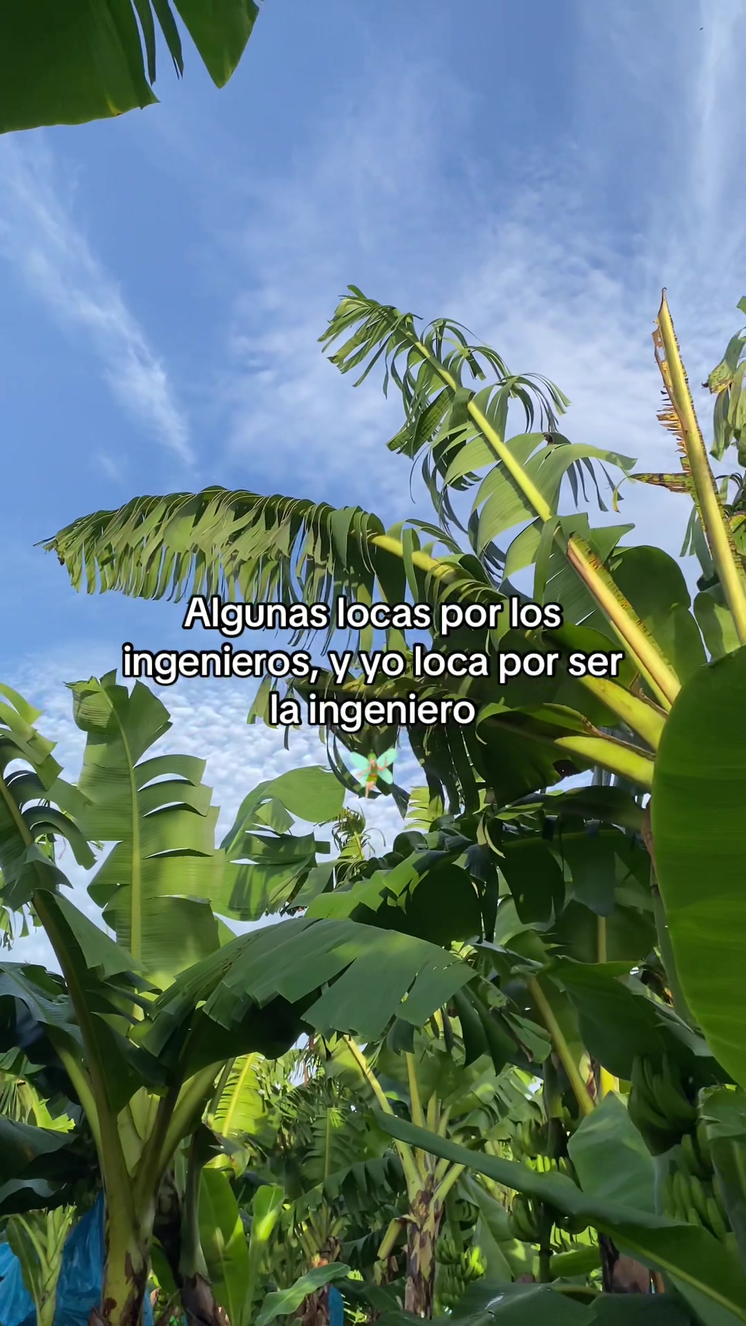@Mujer Agrícola