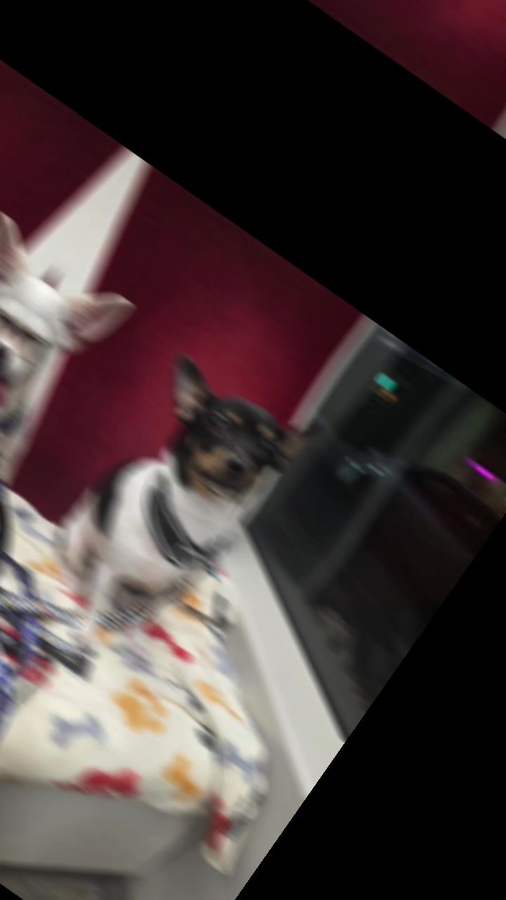 @userdogcharlie21