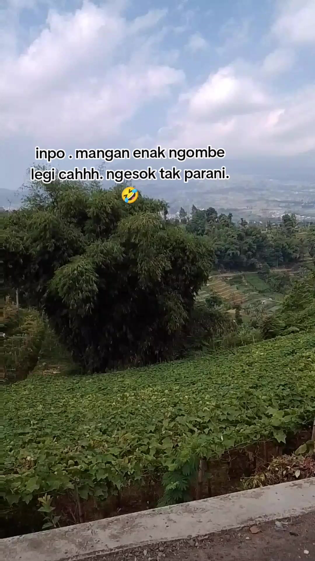 @ismy