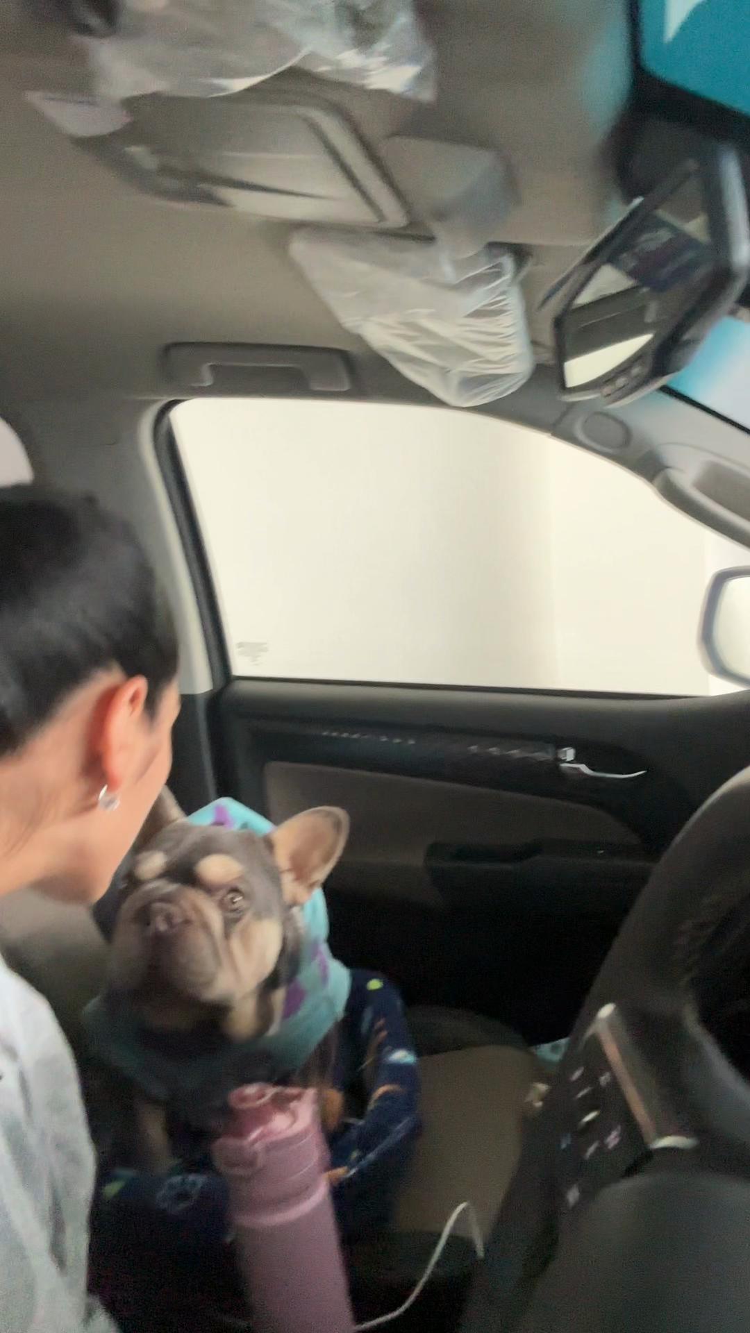 @D A M I S