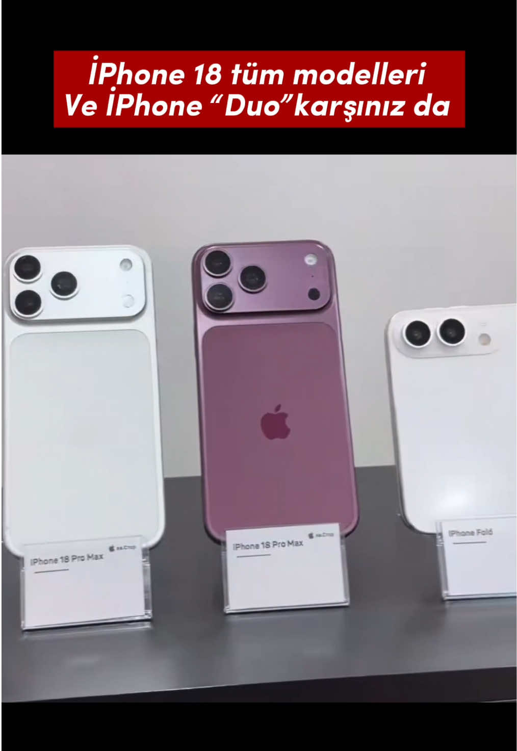 @gamzellla