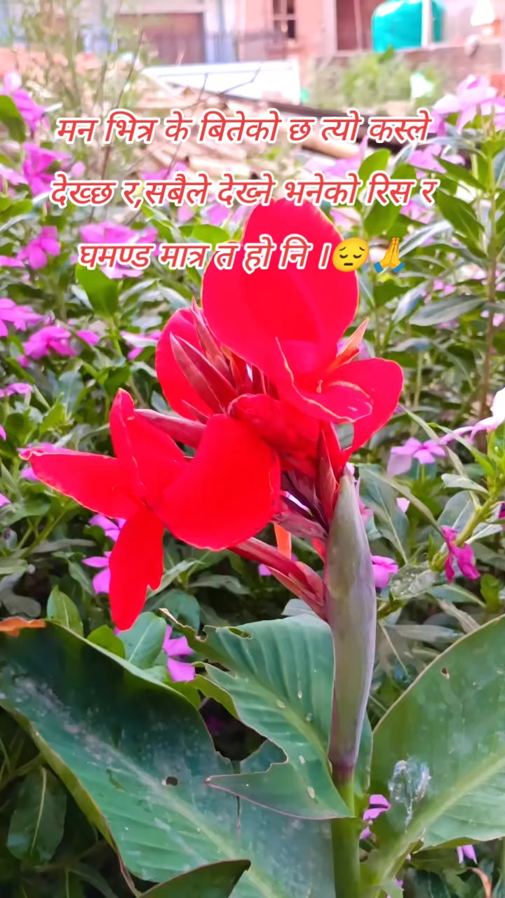 @🍁💫💐