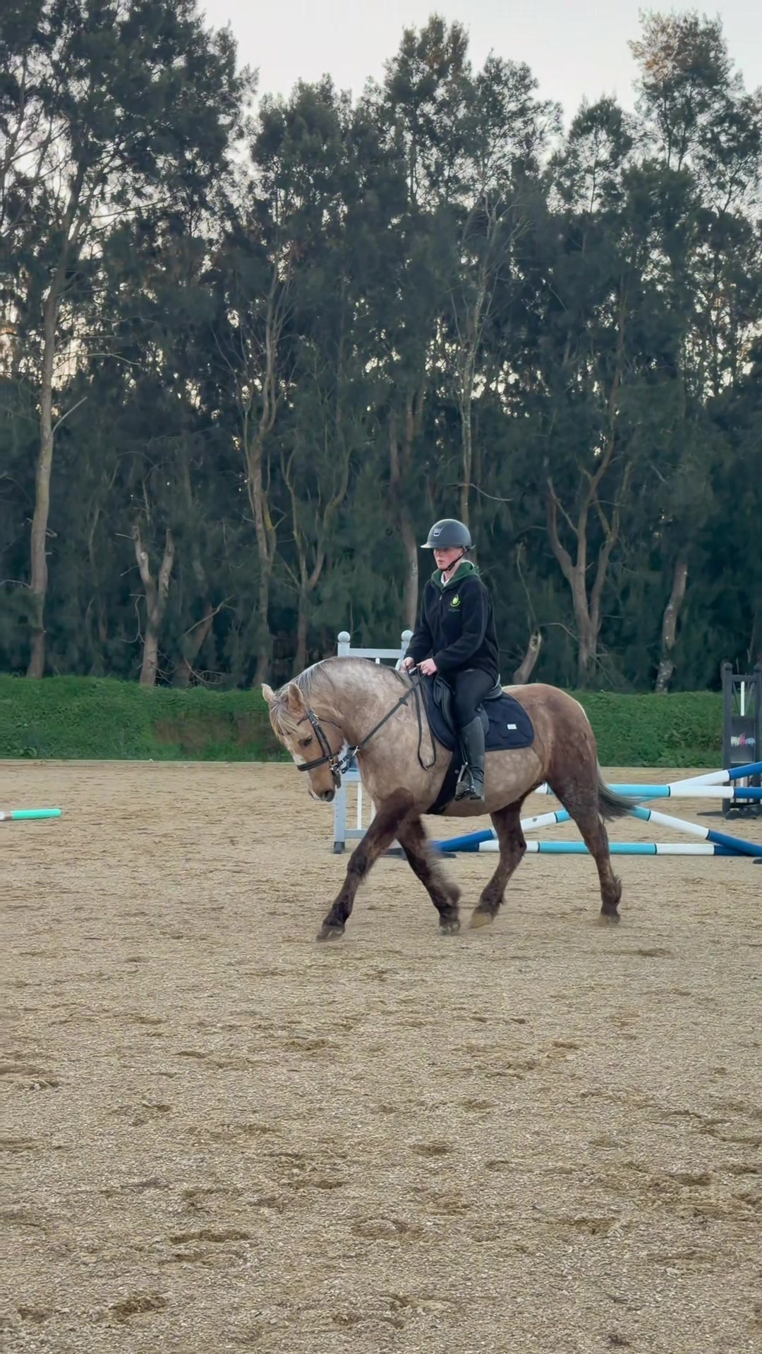 @Savanah_equestrian