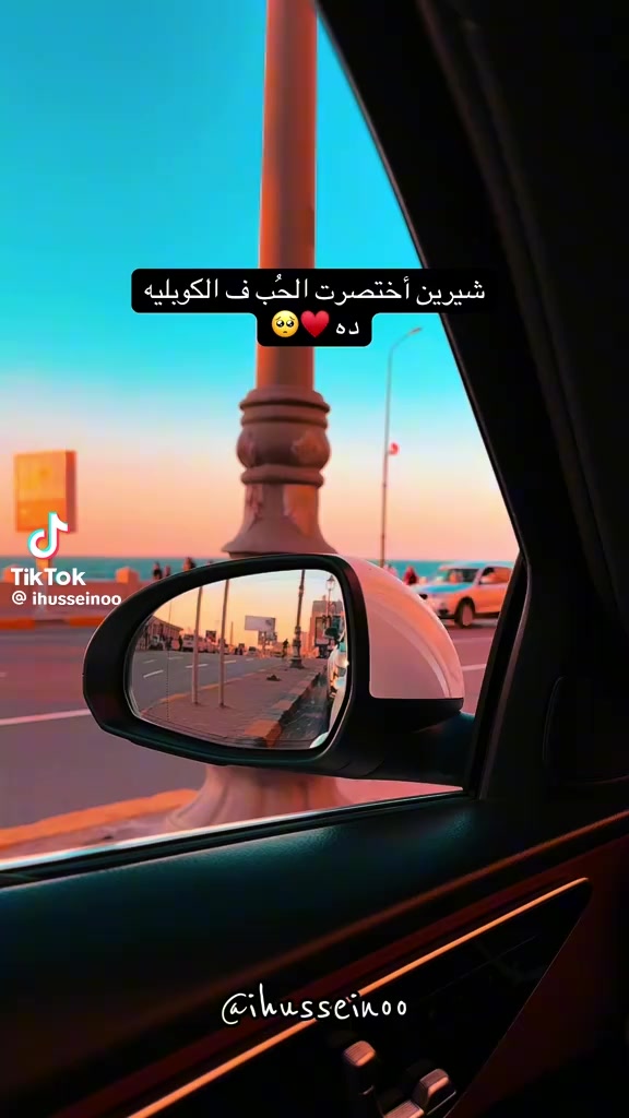@Dina Kamal