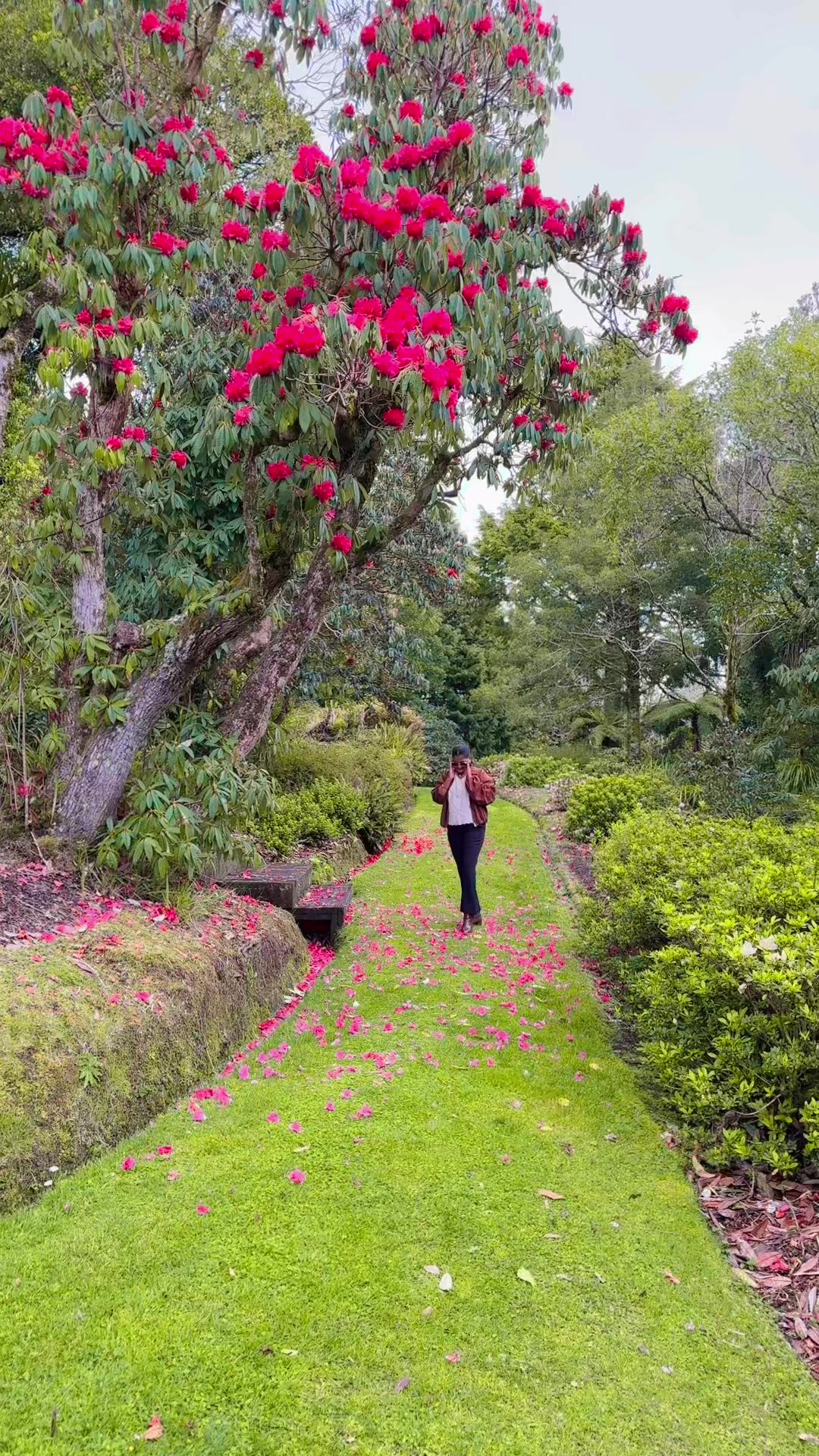 @barshamahaseth1🇳🇿