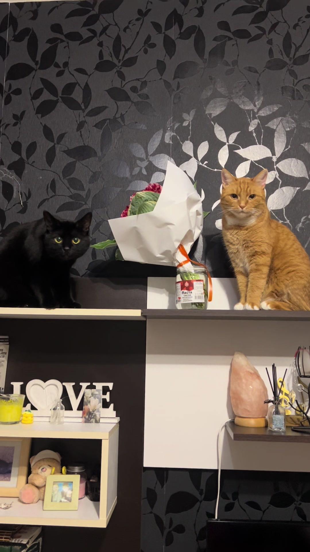 @Оля & Co🐈&zwj;⬛🐈