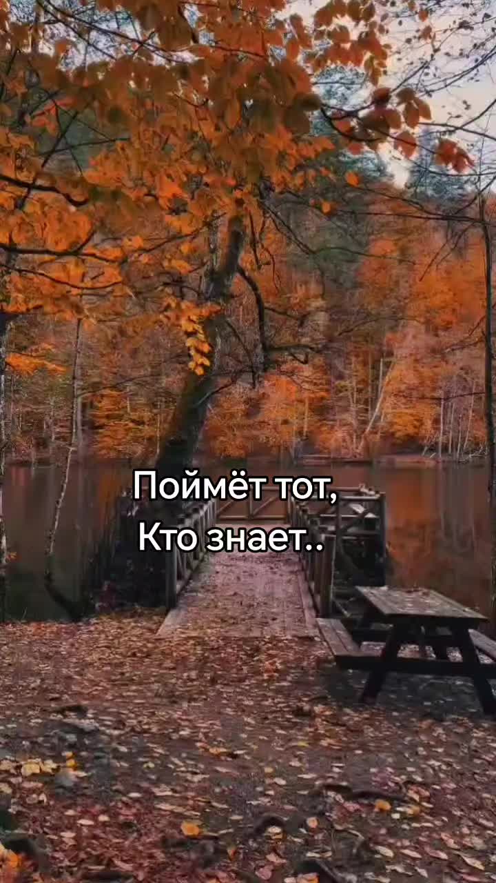 @❤️СеРдЦеЕдКа❤️