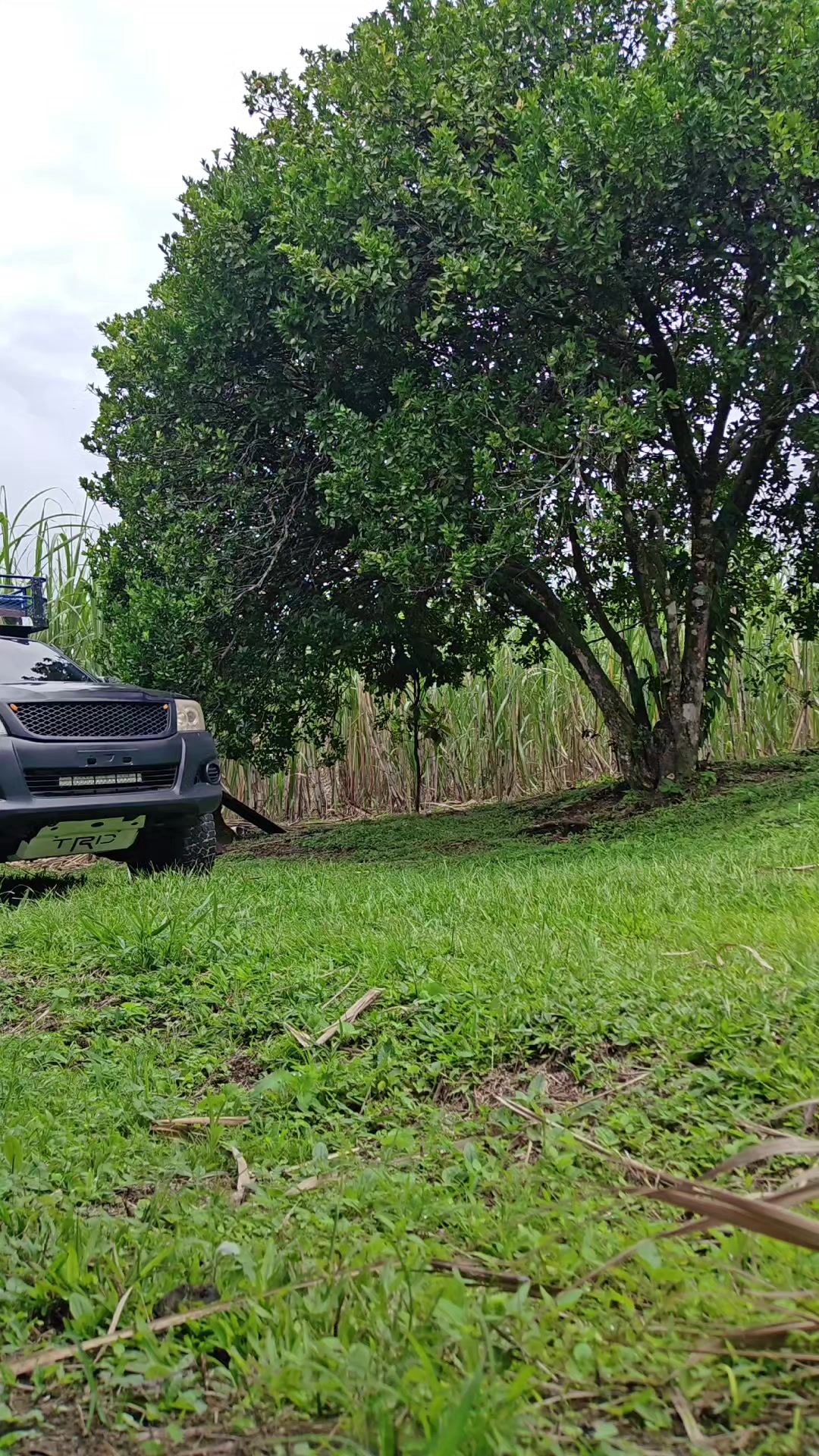 @Luchito98🚜
