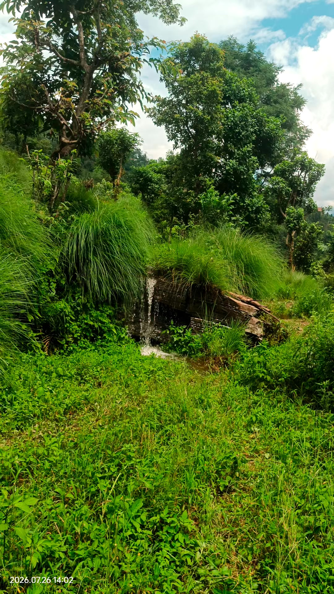 @Hari Adhikari