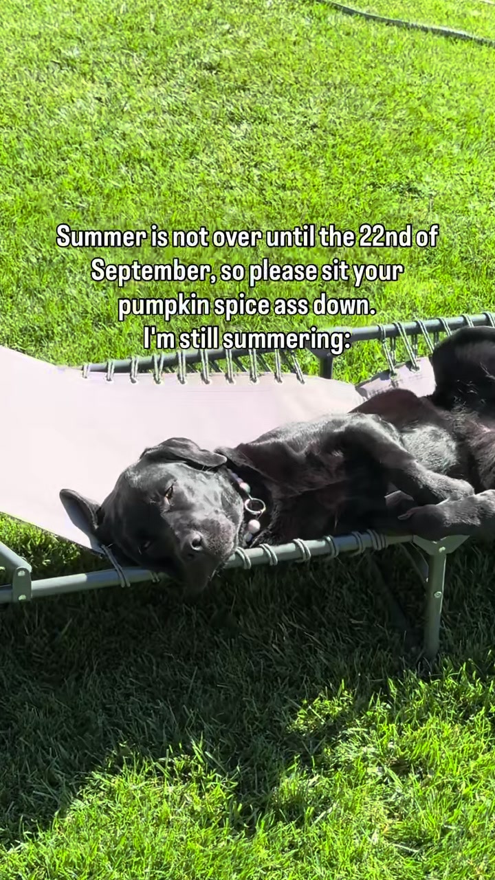@lisatheblacklab