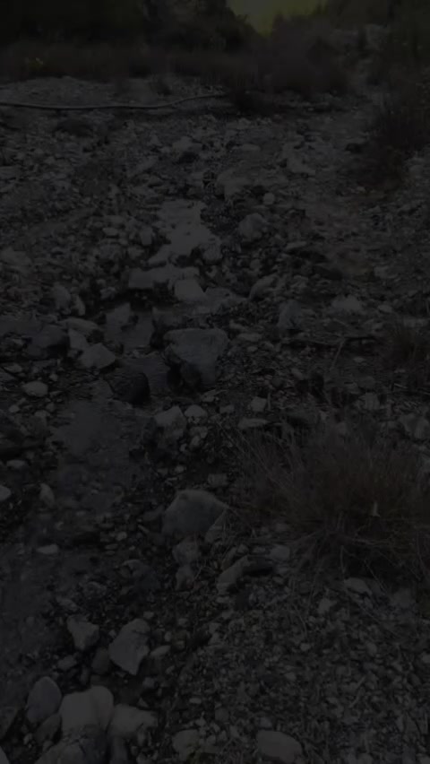 @꧁࿇乃丨ㄚ丨Ҝㄥ丨࿇꧂
