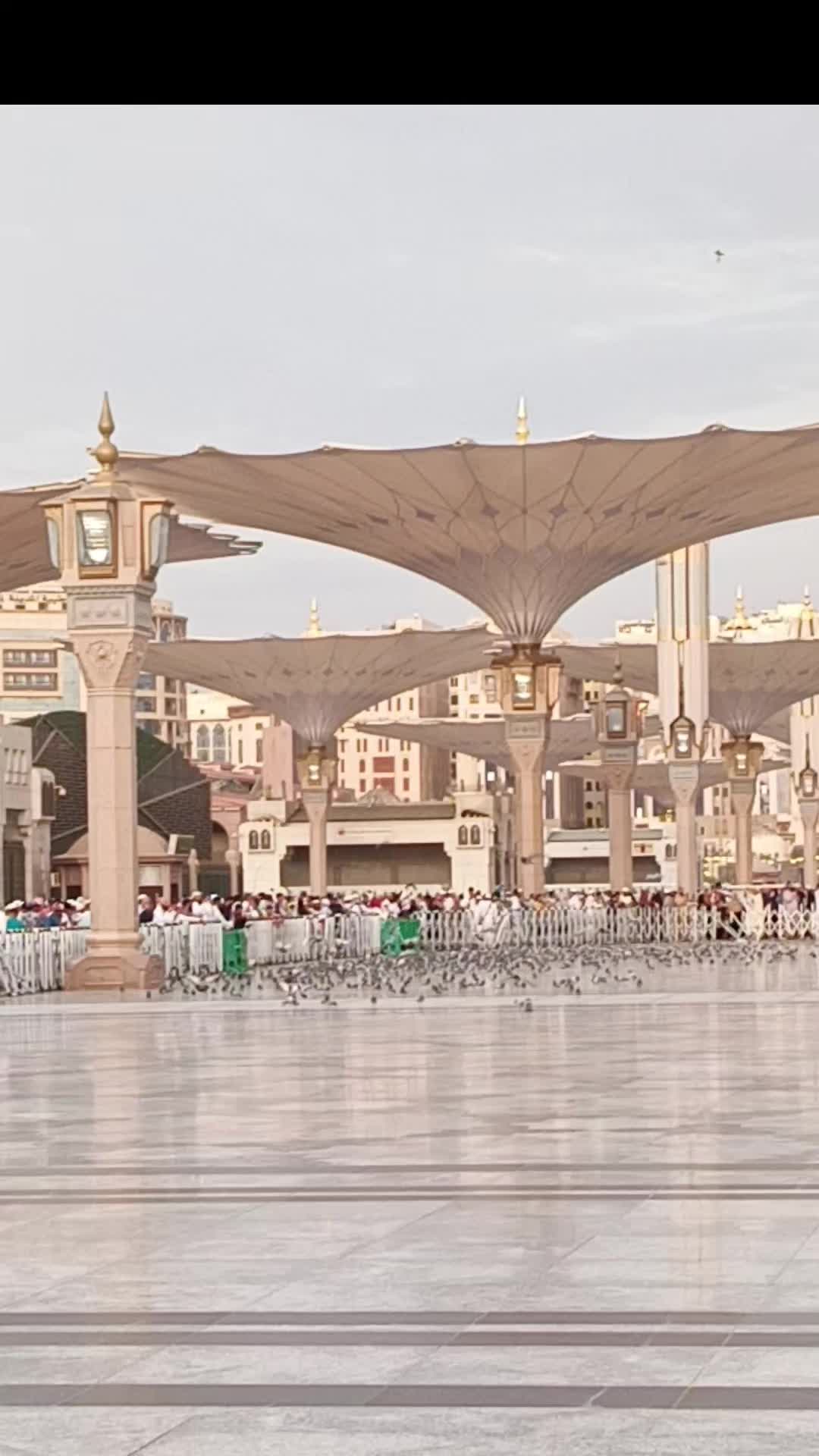@ايمى الناجى